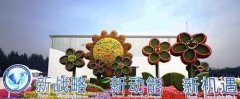 澳门银河网站廊坊市资讯｜廊坊鲜花绽放，惊艳世人